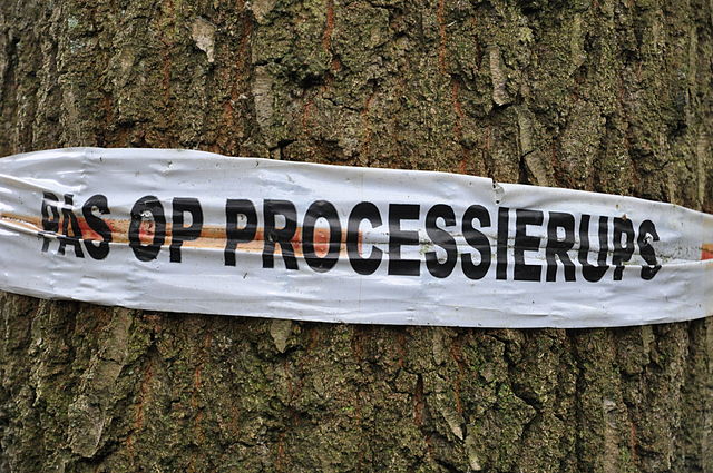 De eikenprocessierups op de bouwplaats